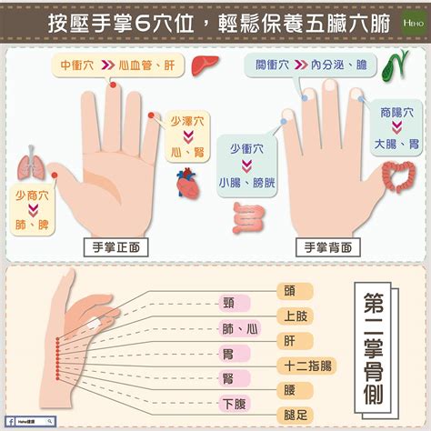 大拇指有窩|按壓手掌6穴位，輕鬆保養五臟六腑